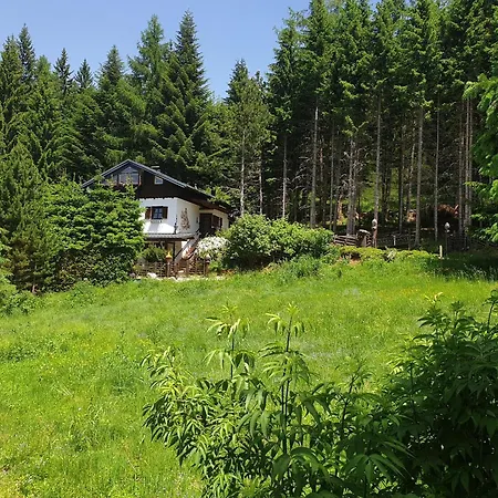 Holiday home Alm'ferienhaus Gaisegg